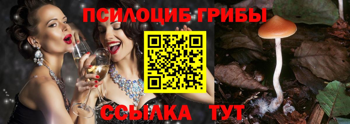 Елец  Галлюциногенные грибы Psilocybine cubensis  Галлюциногенные грибы GOLDEN TEACHER  Вход с VPN 